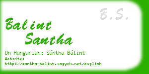 balint santha business card